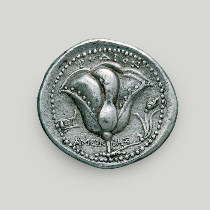 Reverse of Rhodian silver tetradrachm depicting a rose, the symbol of the city.  Reverse of Rhodian silver tetradrachm
