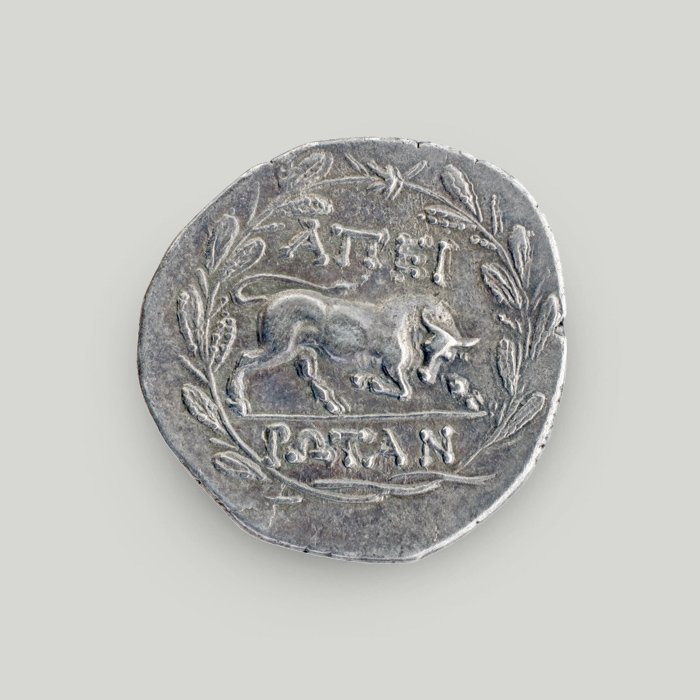 Reverse of the silver didrachm of the Epirote League. Bull charging to the right enclosed in a wreath. The legend reads APEIROTAN.  Reverse of the silver didrachm of the Epirote League