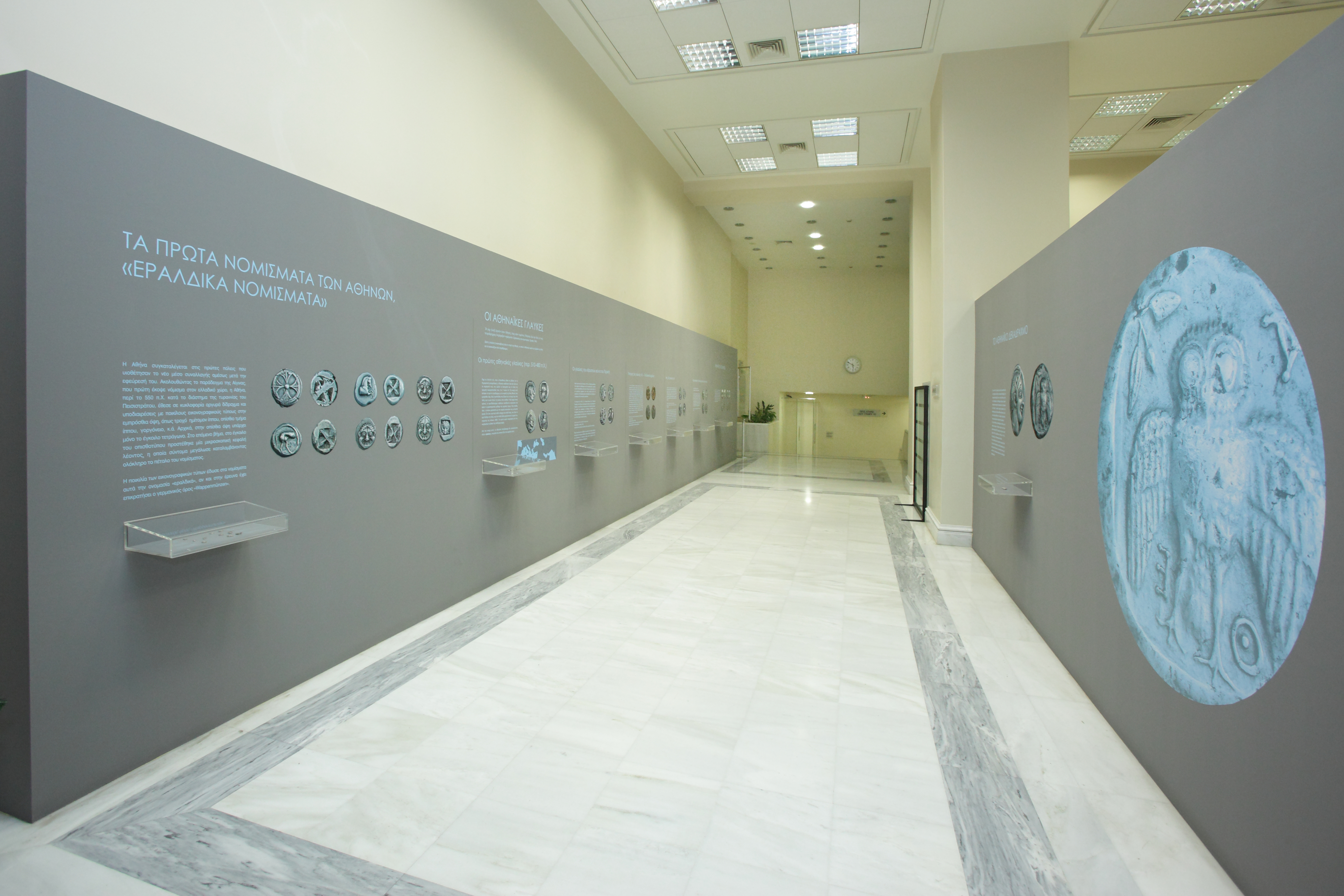 The exhibition area with exhibits in illuminated cases and relevant useful material. Exhibits “Athenian Owls”