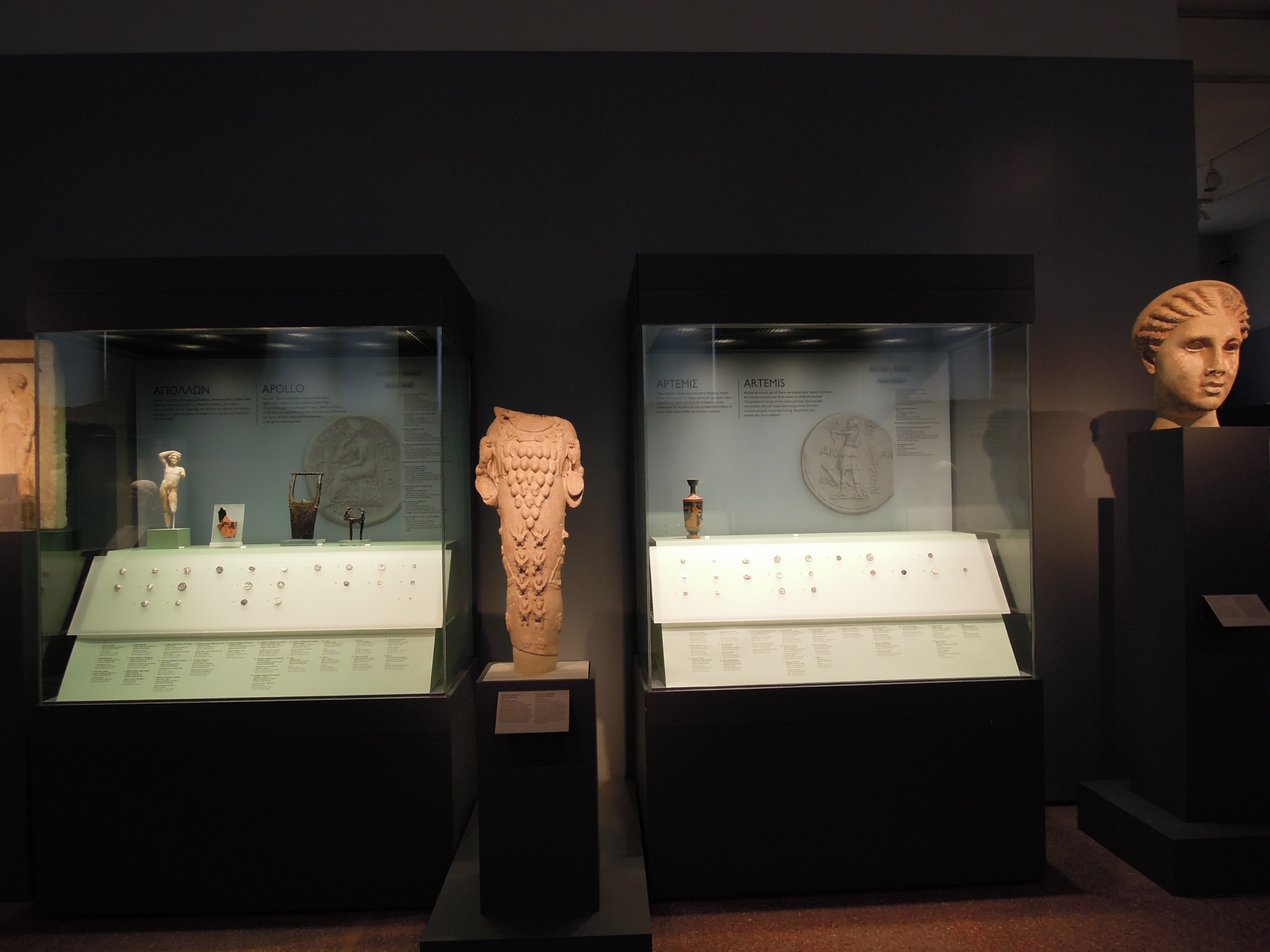 Illuminated cases and sculptures from the exhibition at the National Museum.  Exhibits “Myth and Coinage. Representations, Symbolisms and Interpretations from Greek Mythology”