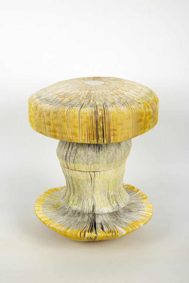 “The Future is Funghi” work of art