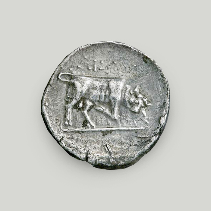 Reverse of Phaistos silver stater depicting a bull charging to the right.  Reverse of Phaistos silver stater